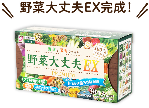 野菜大丈夫EX完成!
